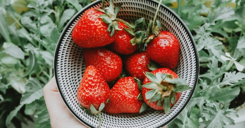 Can OpenAI’s Strawberry program deceive humans?